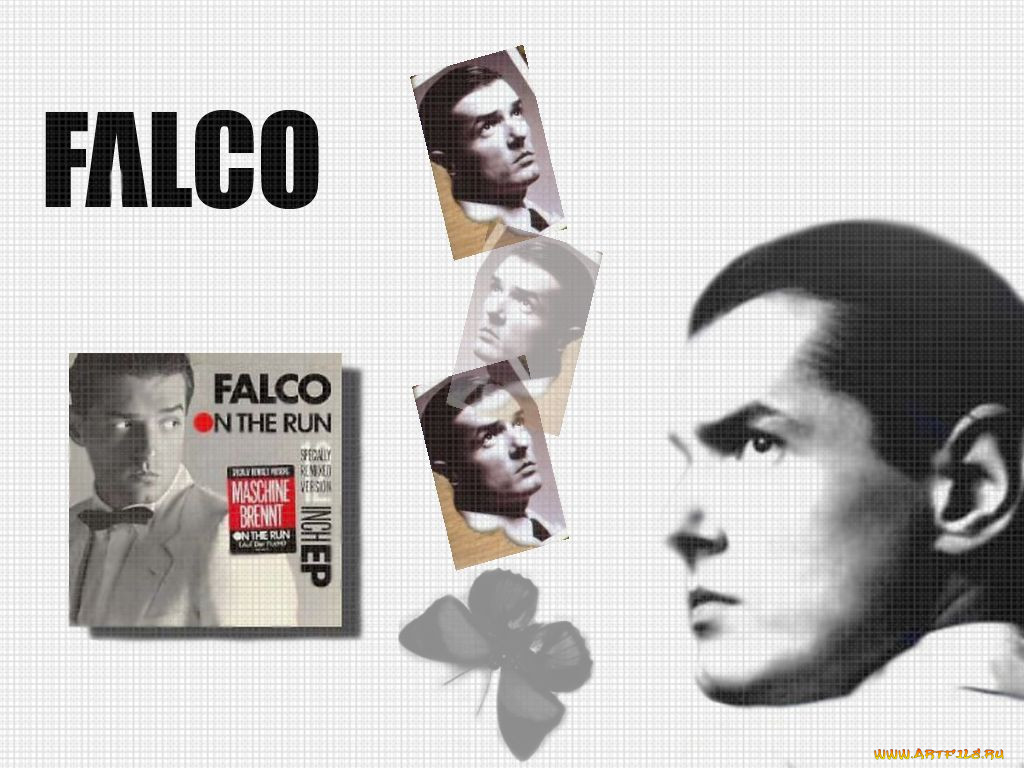 falco, 